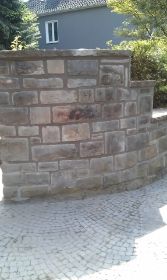 IMAG0222.jpg